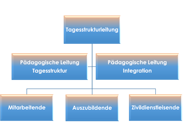 Ein Organisationsdiagramm, das die die Rollen der Teammitglieder darstellt. Oben ist die Tagesstrukturleitung, auf der zweiten Stufe sind die Pädagogische Leitung Tagesstruktur und die Pädagogische Leitung Integration, und auf der untersten Stufe sind die Mitarbeitende, die Auszubildende, und die Zivildienstleistende.